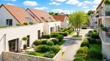 DOMAINE DES ORMES